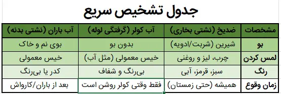 علت خیس شدن کف ماشین و بوی شیرین چیست؟
